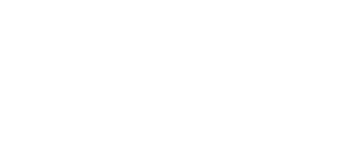 Medicus 360